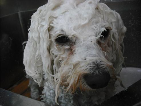 ファイル 3581-2.jpg