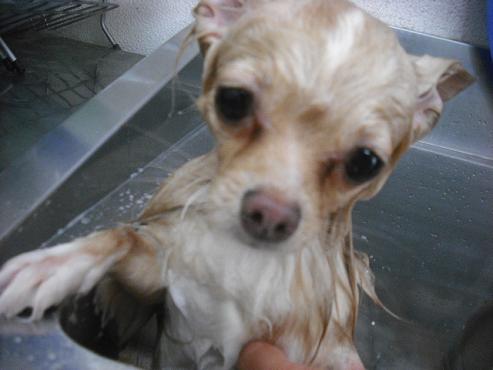 ファイル 3582-2.jpg