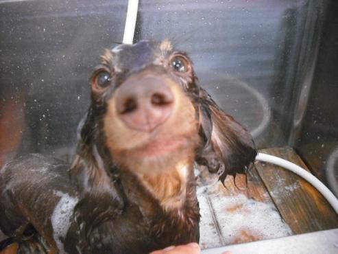 ファイル 3583-2.jpg