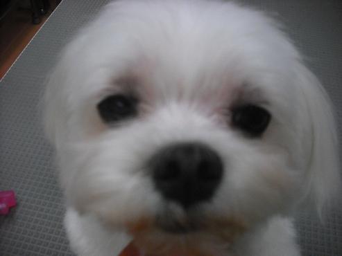 ファイル 3584-1.jpg