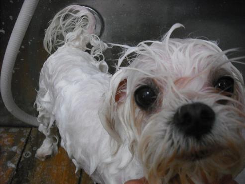 ファイル 3584-2.jpg