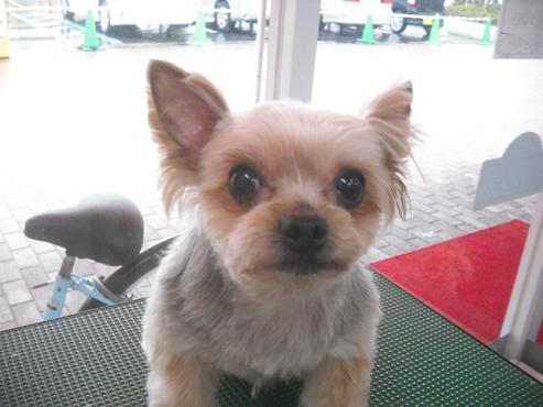 ファイル 3586-1.jpg