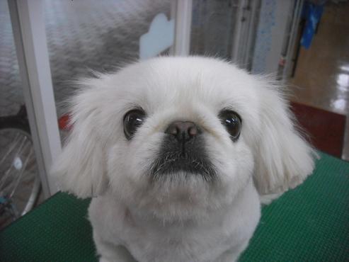 ファイル 3587-1.jpg