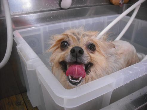 ファイル 3587-2.jpg