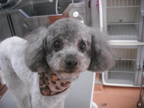 ファイル 3588-1.jpg