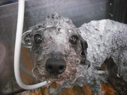 ファイル 3588-2.jpg