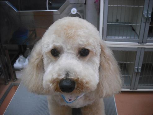 ファイル 3589-1.jpg