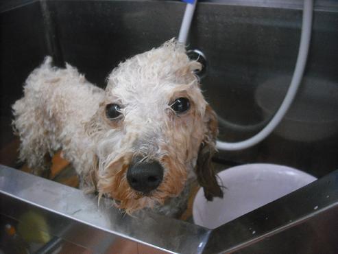 ファイル 3589-2.jpg