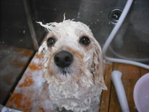 ファイル 359-3.jpg