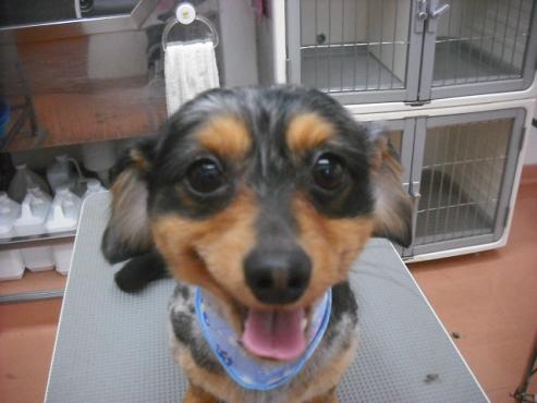 ファイル 3590-1.jpg