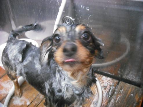 ファイル 3590-2.jpg