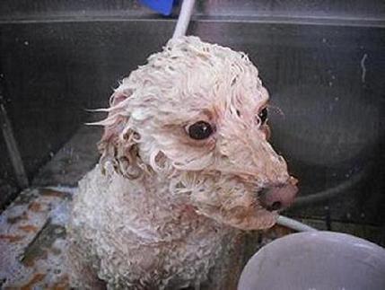 ファイル 3591-2.jpg