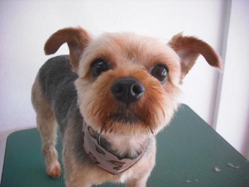 ファイル 3592-1.jpg