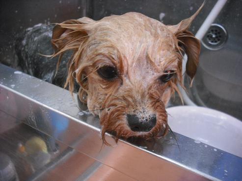 ファイル 3592-2.jpg