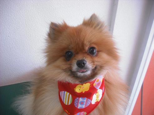 ファイル 3593-1.jpg