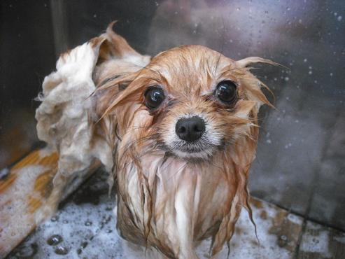 ファイル 3593-2.jpg