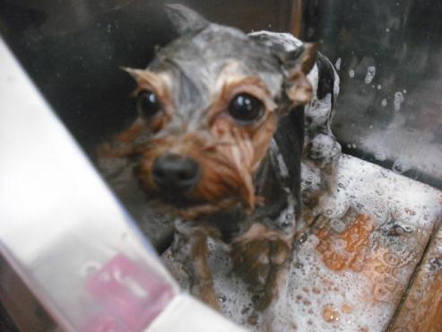 ファイル 3594-2.jpg