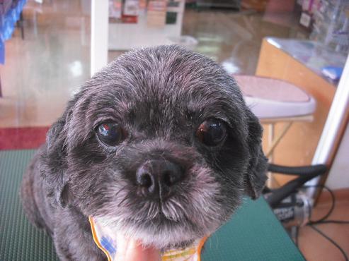 ファイル 3595-1.jpg