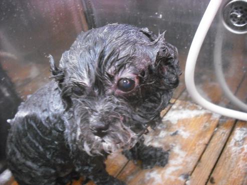 ファイル 3595-2.jpg