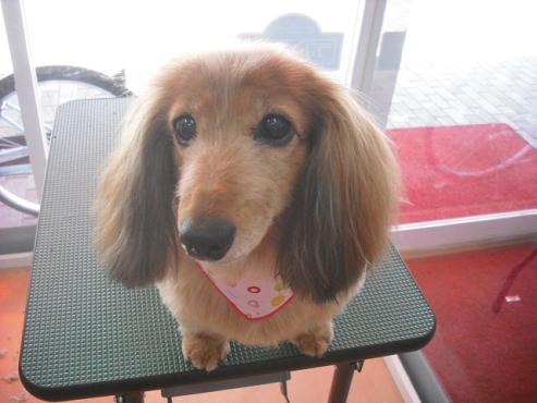 ファイル 3596-1.jpg