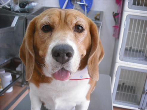 ファイル 3597-1.jpg