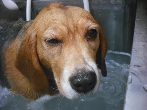 ファイル 3597-2.jpg