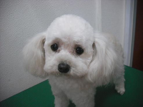 ファイル 3598-1.jpg