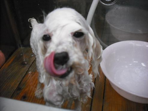 ファイル 3598-2.jpg