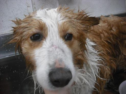 ファイル 3599-2.jpg