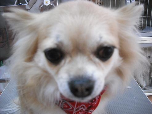 ファイル 36-1.jpg