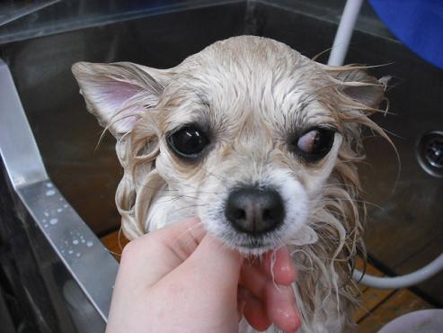 ファイル 36-2.jpg