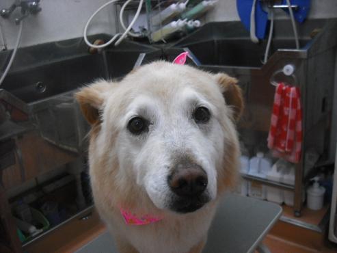 ファイル 360-1.jpg