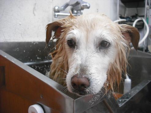 ファイル 360-3.jpg