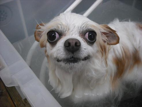 ファイル 3602-2.jpg