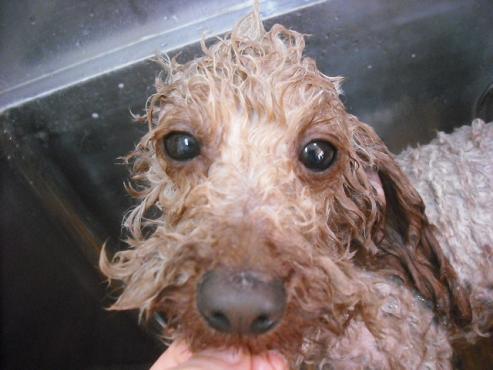 ファイル 3603-2.jpg