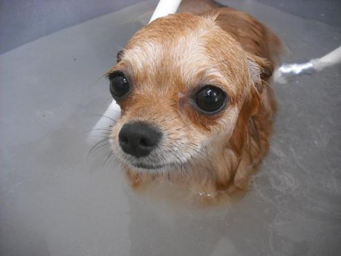 ファイル 3604-2.jpg