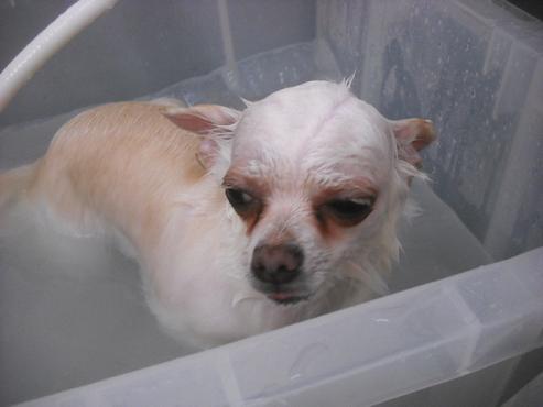 ファイル 3605-2.jpg