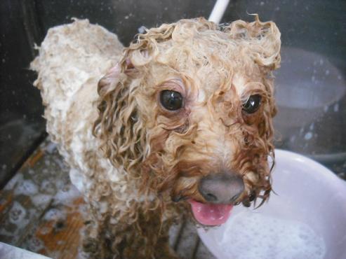 ファイル 3606-2.jpg