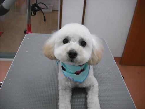 ファイル 361-1.jpg