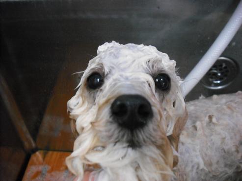 ファイル 361-3.jpg