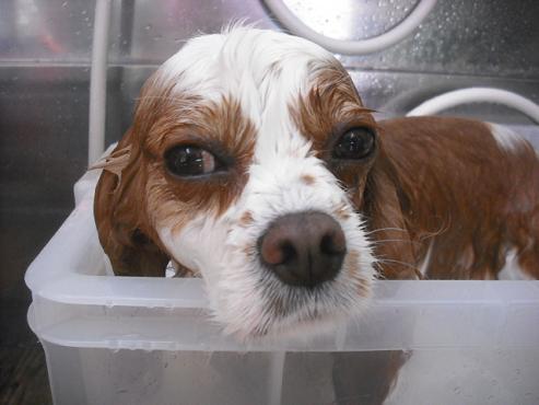 ファイル 3610-2.jpg