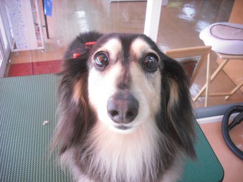 ファイル 3611-1.jpg