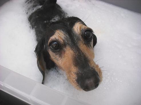 ファイル 3611-2.jpg