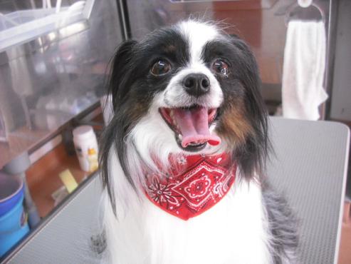 ファイル 3612-1.jpg