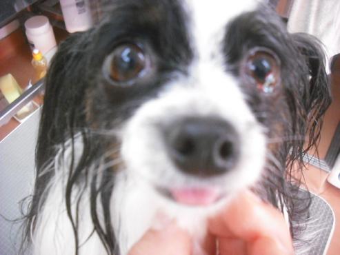 ファイル 3612-2.jpg