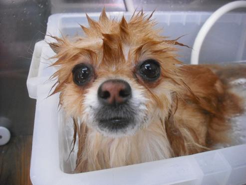 ファイル 3613-2.jpg