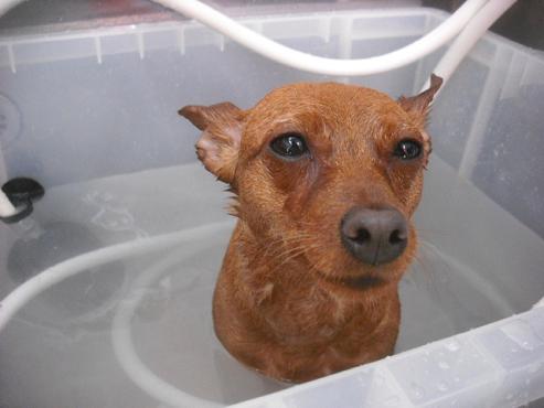 ファイル 3614-2.jpg