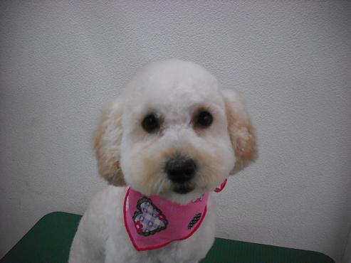 ファイル 362-1.jpg