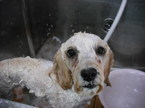 ファイル 362-3.jpg