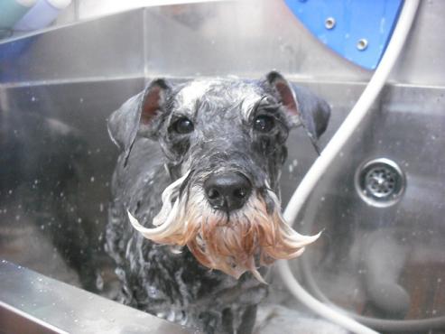 ファイル 3620-2.jpg